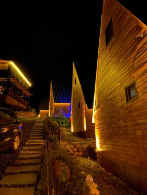 komilo vadi bungalav 2